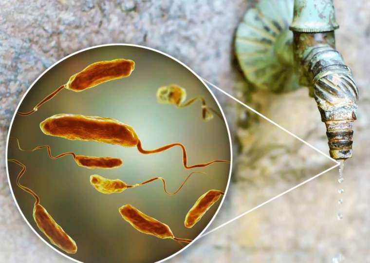 bacteria in well water