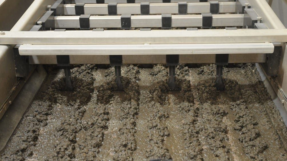 Sludge thickener using belt press